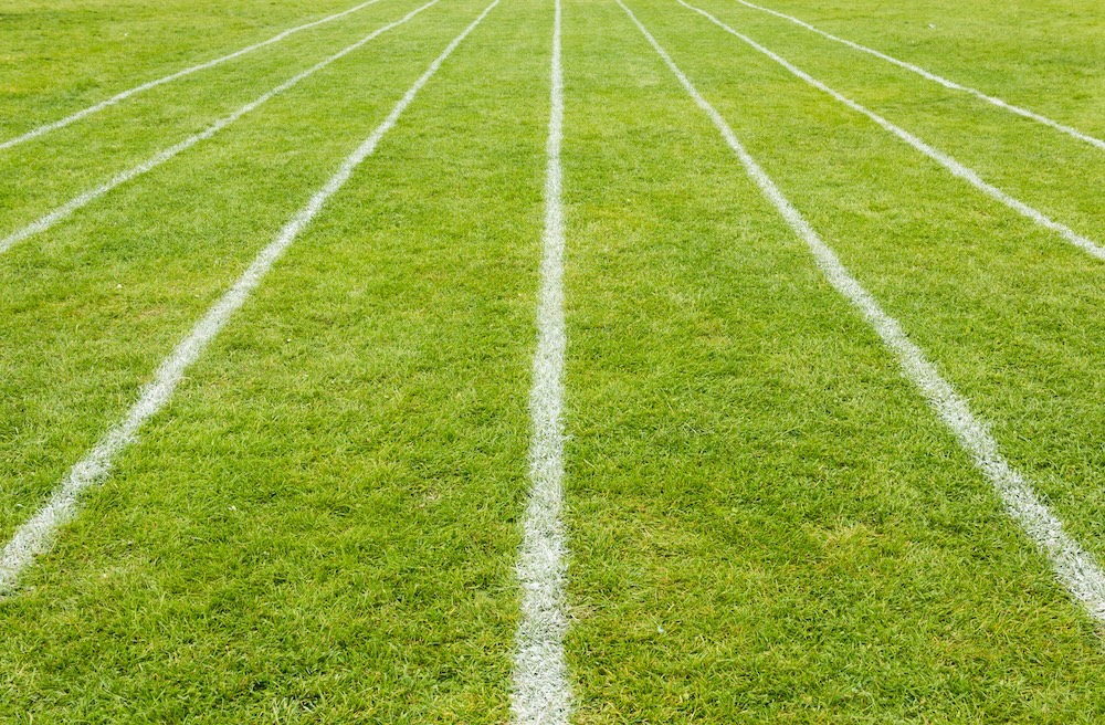 Running track white lines marked on the grass tending to converge in the distance.